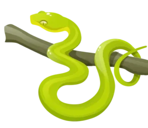 "vaikuntapali game snake"